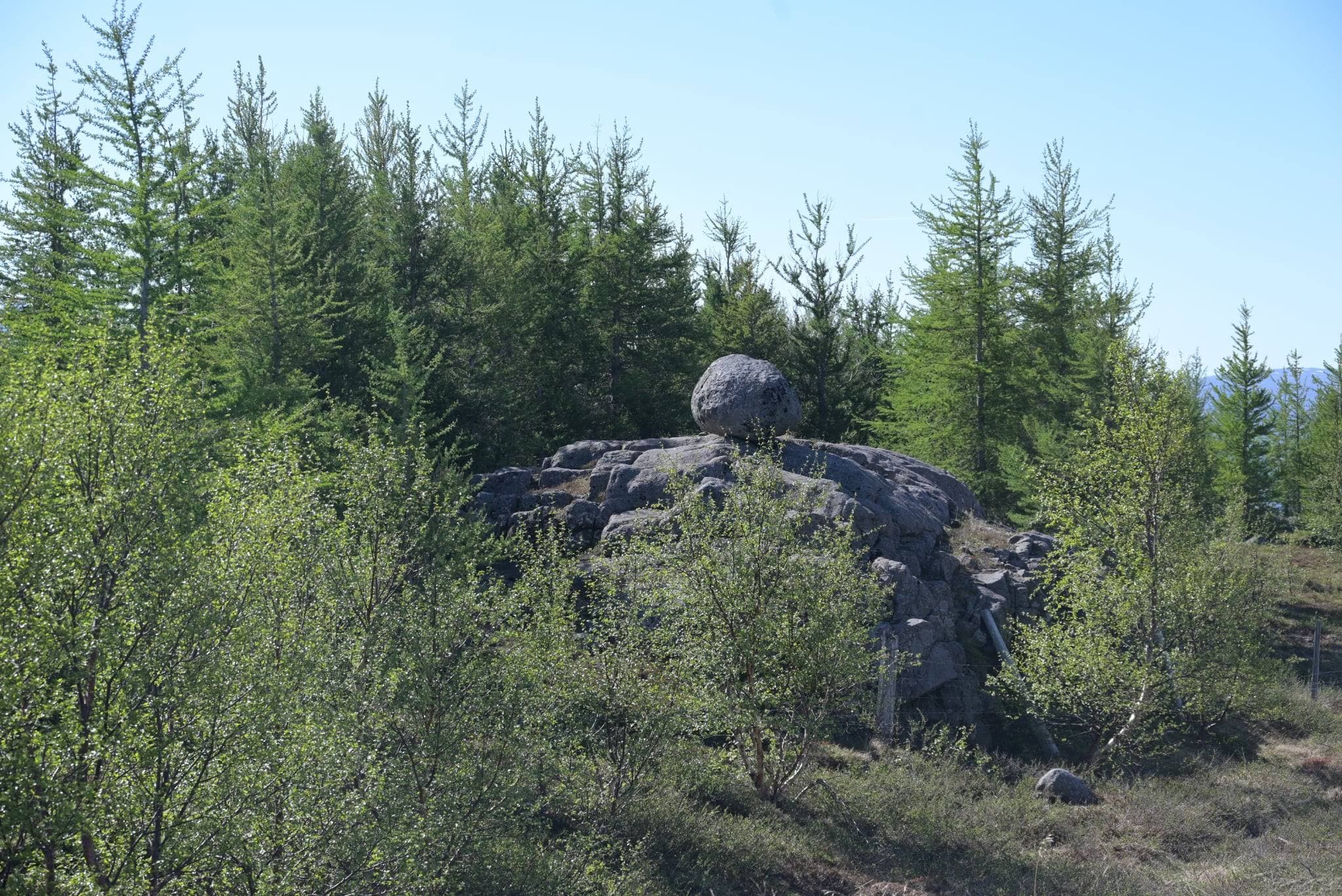 Skógrækt og ásýnd lands 4