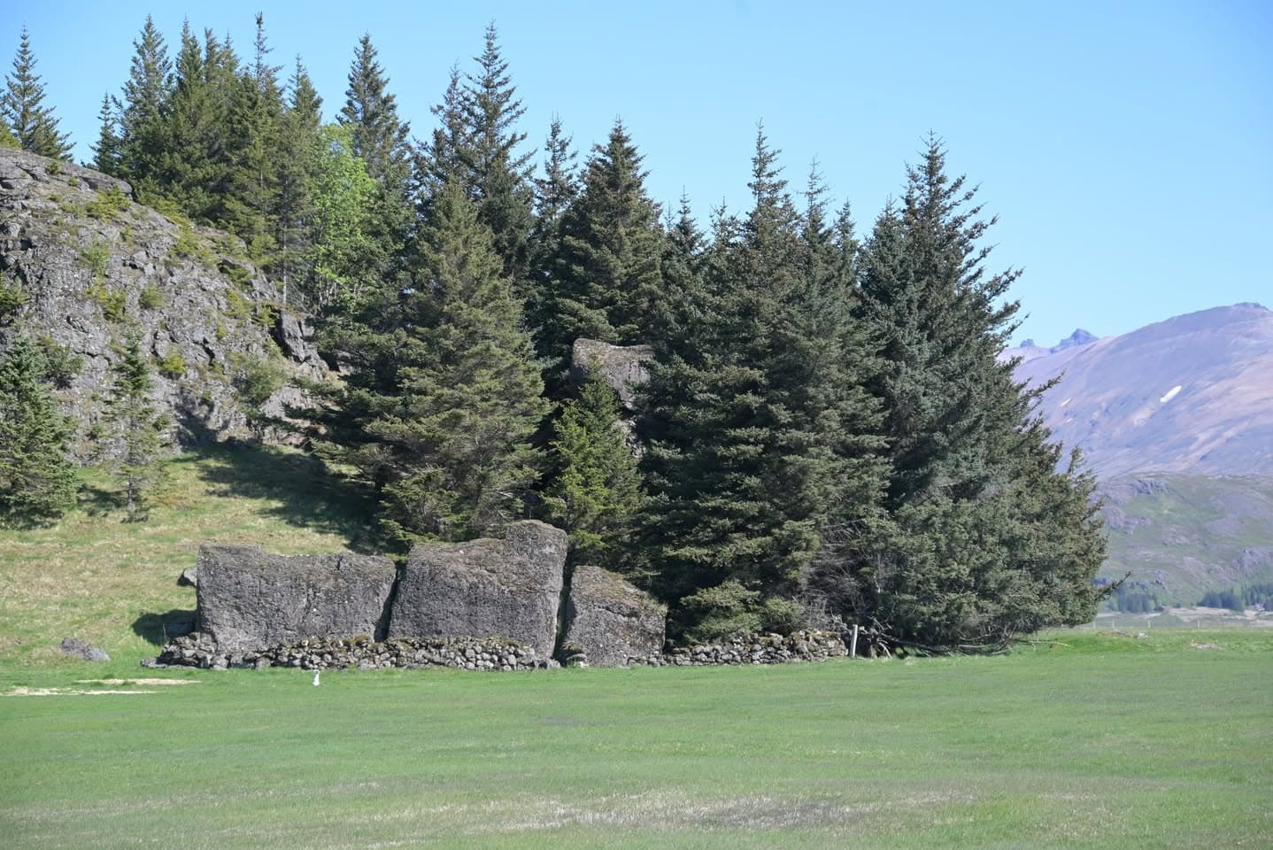 Skógrækt og ásýnd lands 2